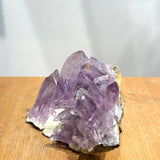 Vera Cruz Amethyst