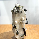 Quartz with Epidote