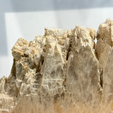 Dragon’s Tooth Selenite