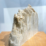 Dragon’s Tooth Selenite
