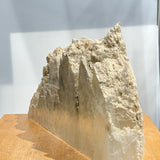 Dragon’s Tooth Selenite
