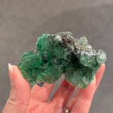 Fluorite with Pyrite