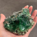Fluorite with Pyrite