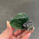 Fluorite with Hematite and Pyrite