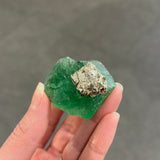 Fluorite with Pyrite