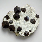 Garnet on Matrix