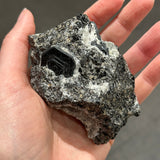 Sapphirine