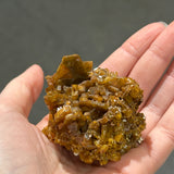 Wulfenite