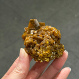 Wulfenite