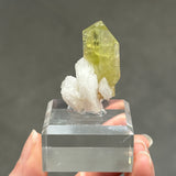 Brazilianite on Albite