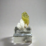 Brazilianite on Albite