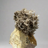 Snowflake Cerussite on Matrix