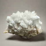 Goosecreekite