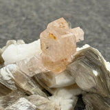 Apatite, Black Tourmaline, Muscovite, and Feldspar