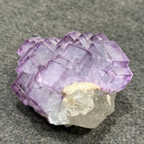 Fluorite, Lepidolite, Quartz