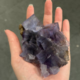 Fluorite and Calcite