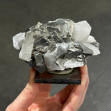 Arsenopyrite and Quartz