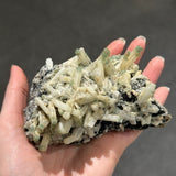 Beryl with Aquamarine and Heliodor (“Aquador”)