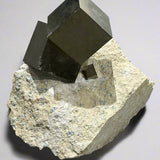 Pyrite on Matrix