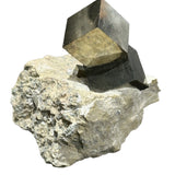 Pyrite on Matrix