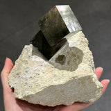 Pyrite on Matrix