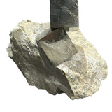 Pyrite on Matrix