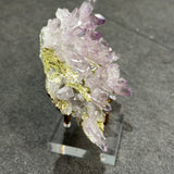 Vera Cruz Amethyst