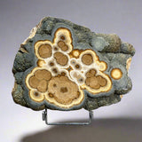 Barite and Marcasite