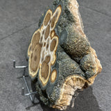 Barite and Marcasite