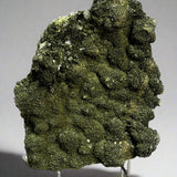 Forest Epidote and Quartz