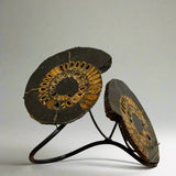 Ammonite Sculpture