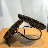 Ammonite Sculpture