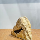 Knightia Fossil - 3.75 inch