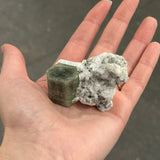 Apatite and Albite