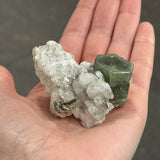 Apatite and Albite