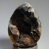 Dragon’s Egg (Septarian Nodule)