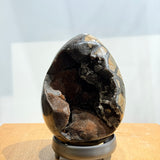 Dragon’s Egg (Septarian Nodule)
