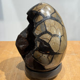 Dragon’s Egg (Septarian Nodule)