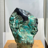 Chrysocolla on Petrified Wood