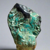 Chrysocolla on Petrified Wood