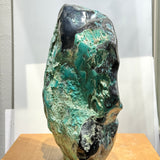 Chrysocolla on Petrified Wood