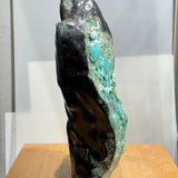 Chrysocolla on Petrified Wood