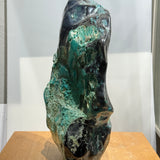 Chrysocolla on Petrified Wood