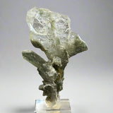 Faden Quartz with Chlorite