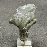 Faden Quartz with Chlorite
