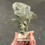 Faden Quartz with Chlorite