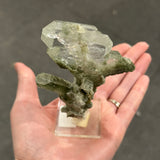Faden Quartz with Chlorite