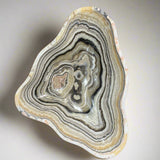 Onyx Bowl - Grey Multi Stripe