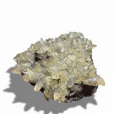 Calcite with Chalcopyrite