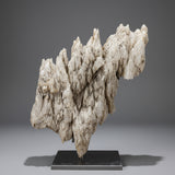 Dragon's Tooth Selenite